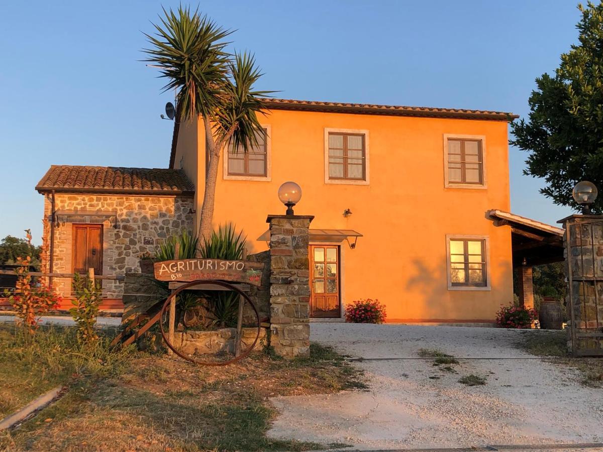 Agriturismo Il Saragiolo Villa Montemerano Exterior foto